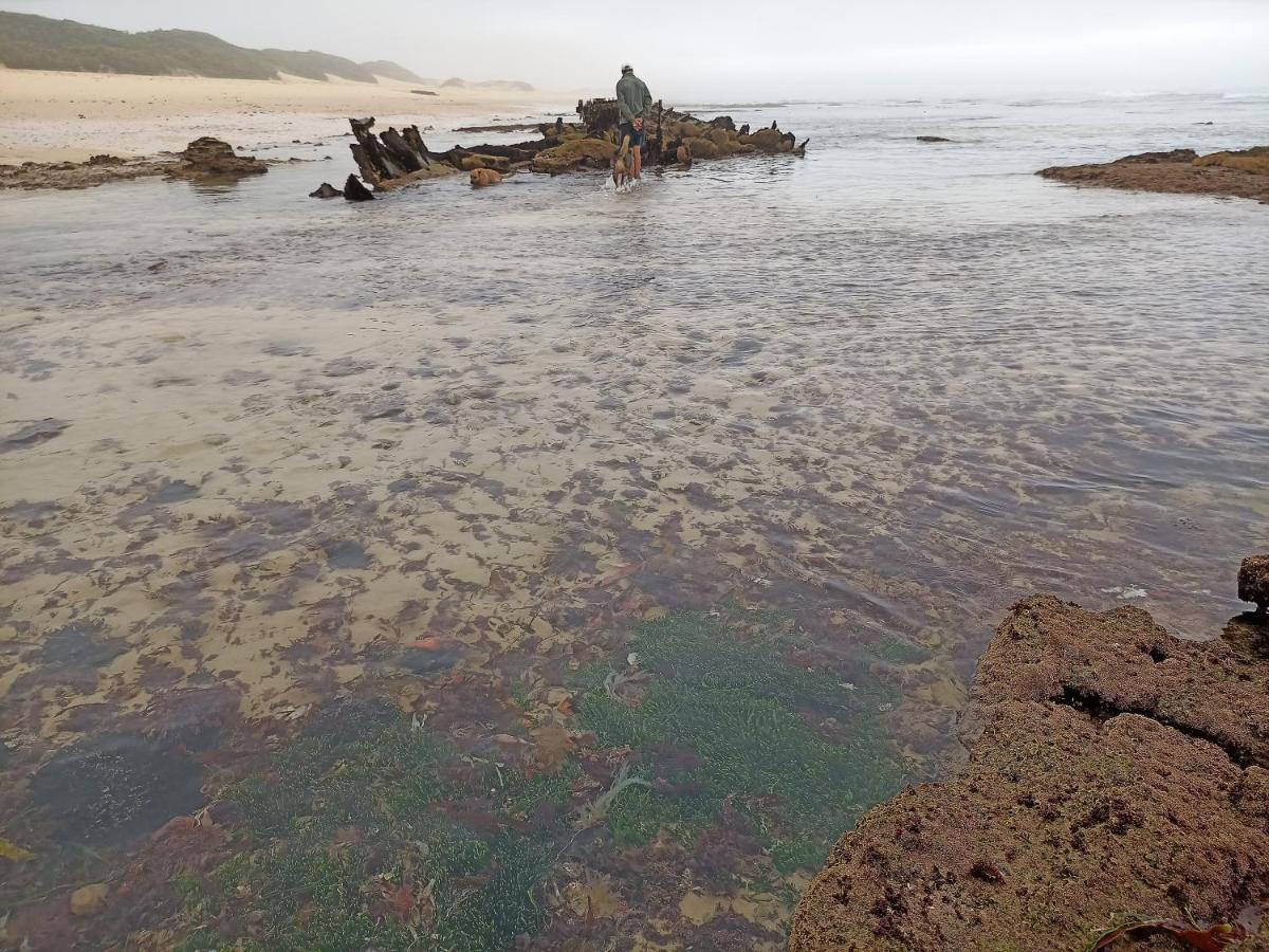 Beached House On Golden Sanddunes Cannon Rocks エクステリア 写真